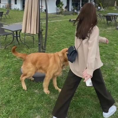 脱去枷锁的回忆：奴隶实录