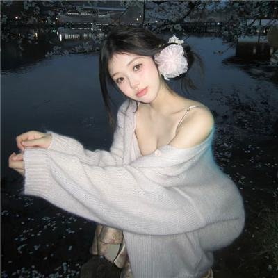 王牌继承者
